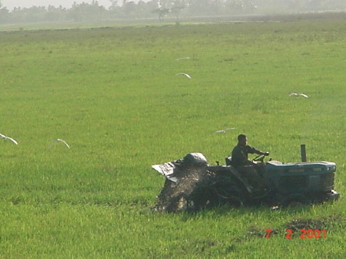 Presione en la Foto Para Ampliar