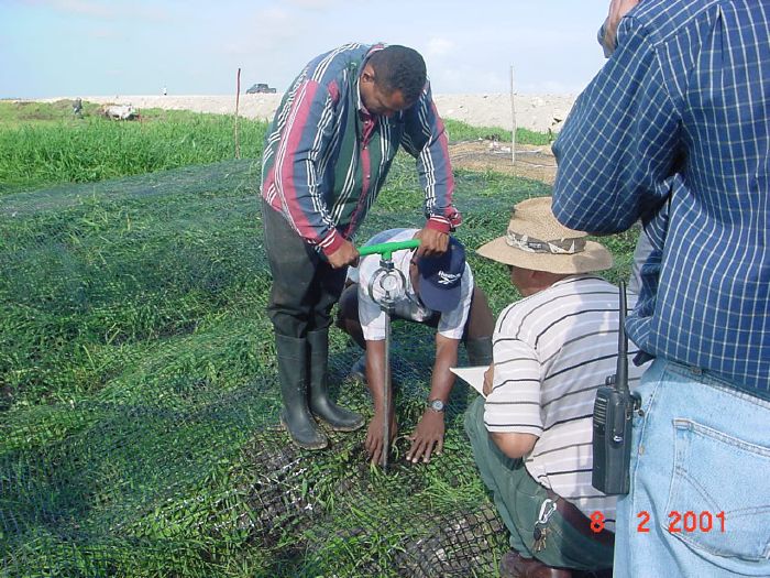 Presione en la Foto Para Ampliar