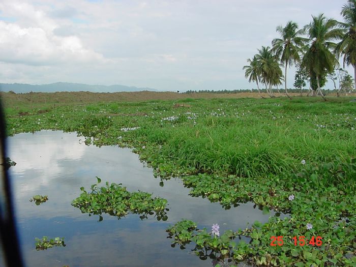 Presione en la Foto Para Ampliar