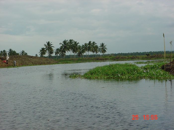 Presione en la Foto Para Ampliar