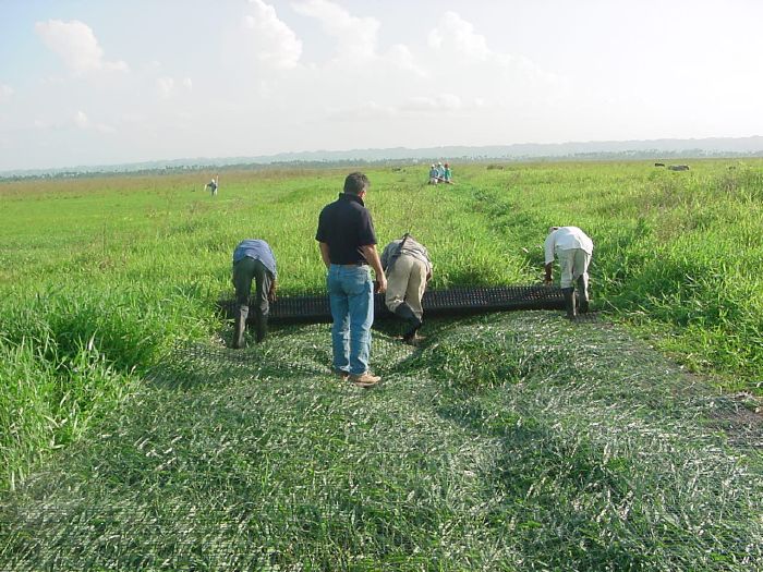 Presione en la Foto Para Ampliar