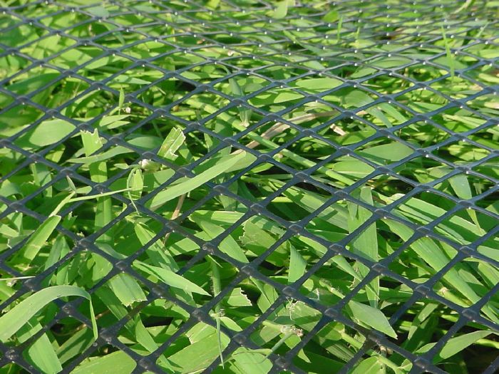 Presione en la Foto Para Ampliar