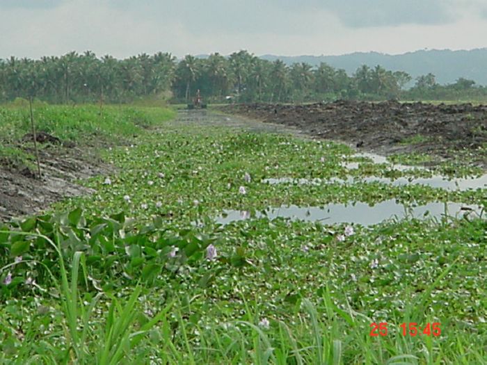 Presione en la Foto Para Ampliar